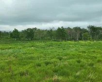 20260603_174206.jpg