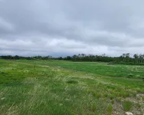 20260603_174355.jpg