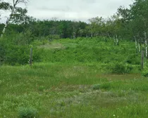 20260603_174531.jpg