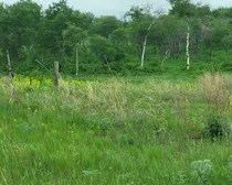 20260603_174714.jpg