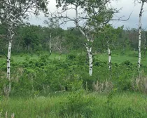 20260603_174723.jpg