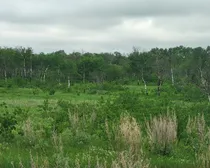 20260603_174727.jpg