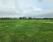 20260603_174812.jpg
