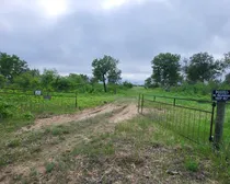 20260603_175008.jpg