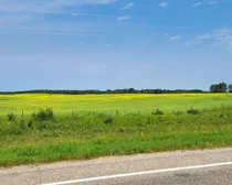 20260731_145421.jpg