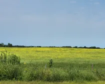 20260731_145633.jpg