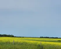20260731_145659.jpg