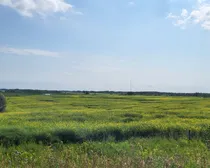 20260731_150901.jpg
