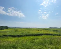 20260731_150931.jpg