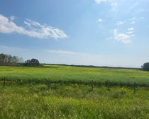 20260731_151206.jpg