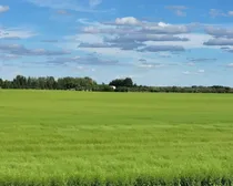 20260807_165019.jpg