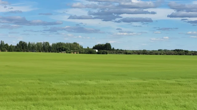20260807_165019.jpg