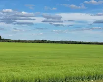 20260807_165023.jpg