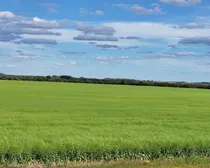 20260807_165027.jpg