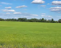 20260807_165031.jpg