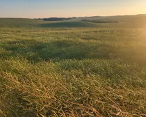 20260825_194008.jpg