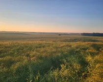 20260825_194032.jpg