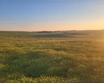 20260825_194058.jpg