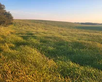 20260825_194101.jpg