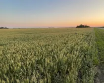 2 20250730_025213980_iOS (Large)