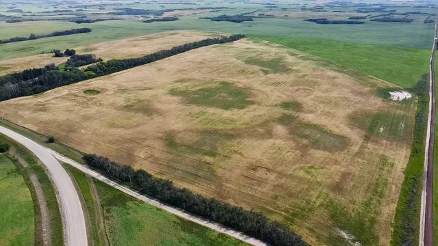 2 20250818_203610624_iOS