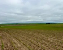 25WaldeckFeedLotIrrigation-10.jpeg
