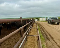 27WaldeckFeedLotIrrigation-12.jpeg