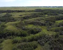 2a 20250818_214357979_iOS