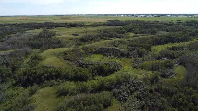 2a 20250818_214357979_iOS