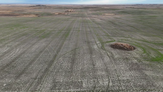 2d DJI_20251025082929_0006_D