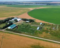 2dji_fly_20260810_151434_157_1786544544003_photo_optimized2.JPG