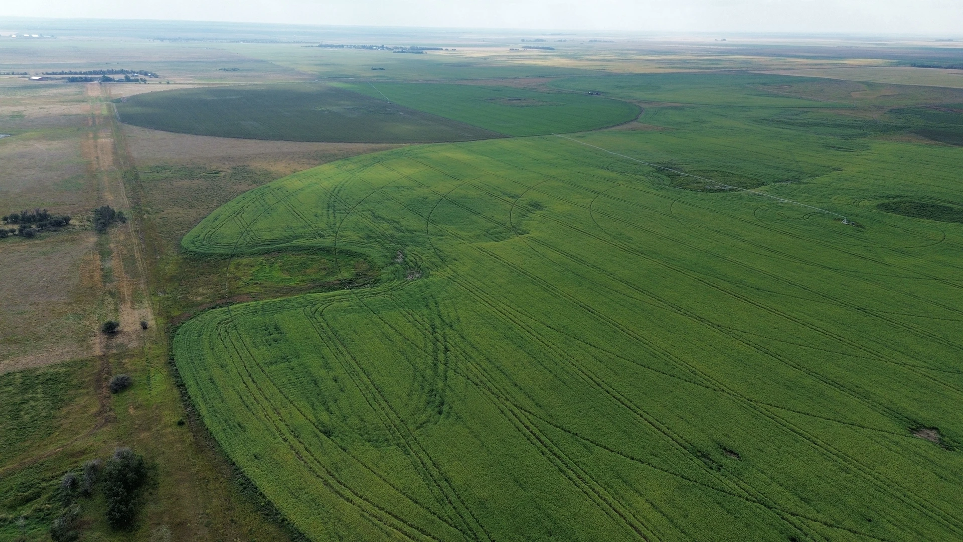 2dji_fly_20260810_163130_248_1786544508476_photo_optimized2.JPG