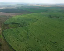 2dji_fly_20260810_163130_248_1786544508476_photo_optimized2.JPG