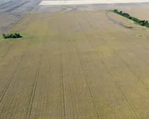 2dji_fly_20260908_182410_350_1790367589664_photo_optimized.JPG