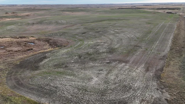 2f DJI_20251025083038_0009_D