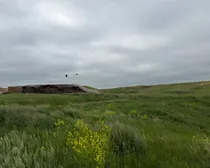 30WaldeckFeedLotIrrigation-5.jpeg
