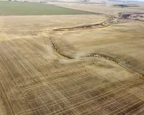 3 20231019_211214000_iOS (Large)