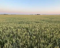 3 20250730_025216285_iOS (Large)