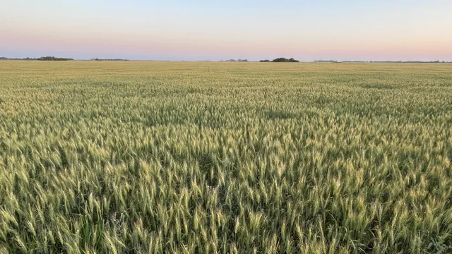 3 20250730_025216285_iOS (Large)