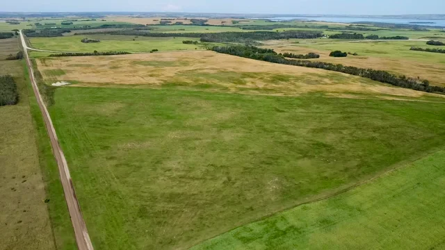 3 20250818_203055650_iOS