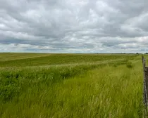 32LacPelletierFeedLotPasture-322.jpeg