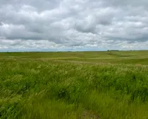 33LacPelletierFeedLotPasture-32.jpeg