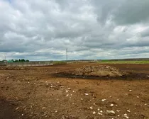 34LacPelletierFeedLotPasture-19.jpeg