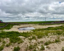 35LacPelletierFeedLotPasture-21.jpeg