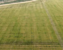 3dji_fly_20260805_193310_58_1786294445468_photo_optimized.JPG