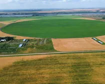 3dji_fly_20260810_151456_158_1786544543602_photo_optimized2.JPG