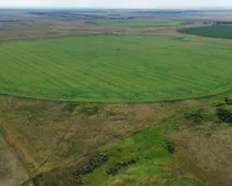 3dji_fly_20260810_163052_247_1786544508879_photo_optimized2.JPG