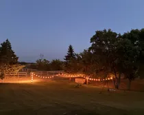 4-49.jpg