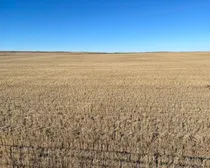 4 20231019_211955652_iOS (Large)