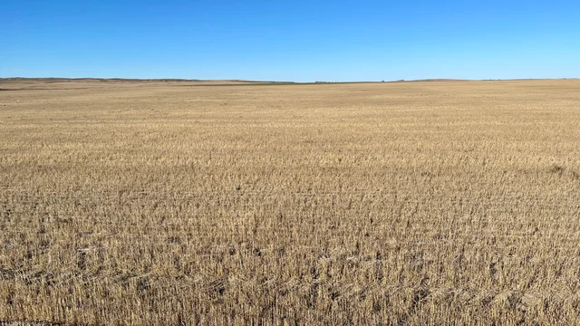 4 20231019_211955652_iOS (Large)